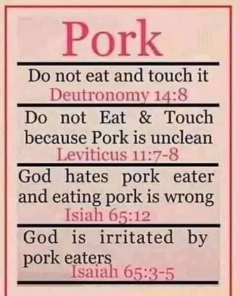 Why Pork is Forbidden in Islam Islam Compass